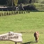 Nad Stawami Çiftlik konaklama Szemud