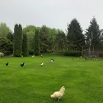 Nad Stawami Çiftlik konaklama