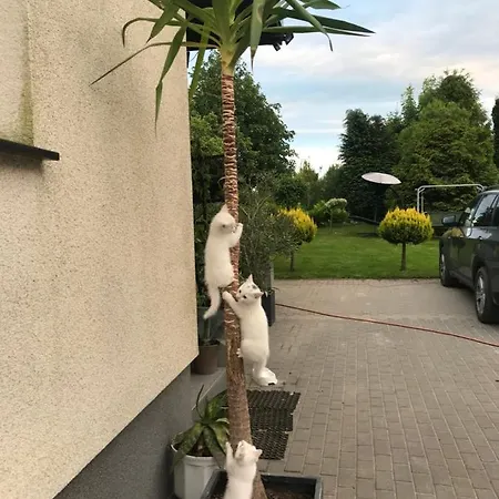 Vakantieboerderij Nad Stawami