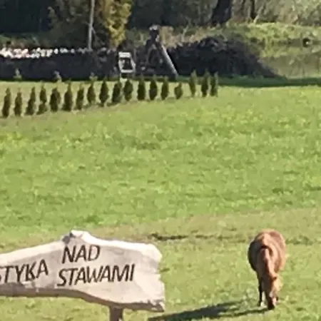 Nad Stawami Alloggio per agriturismo Szemud