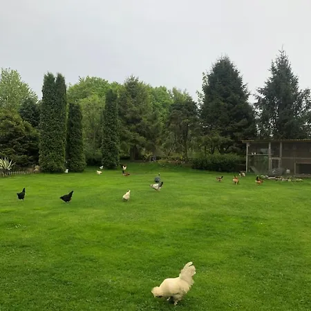 Nad Stawami Alloggio per agriturismo