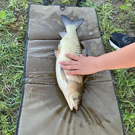 Nad Stawami 农家乐 *