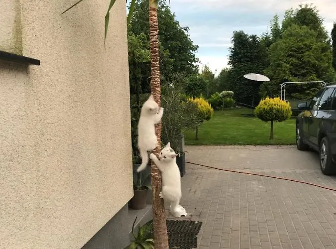 农家乐 Nad Stawami