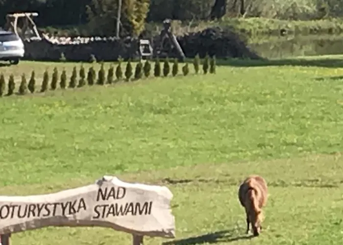 Nad Stawami Alojamento de Turismo Rural Szemud