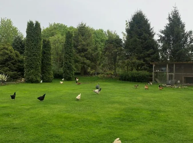 Nad Stawami 农家乐