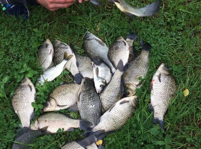 Alojamento de Turismo Rural Nad Stawami