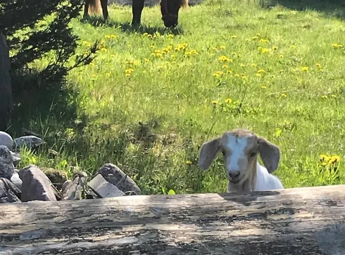 Alojamento de Turismo Rural Nad Stawami *