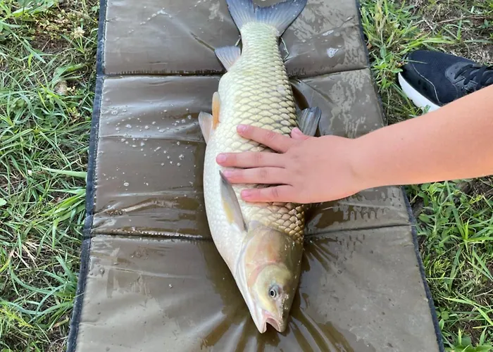 Nad Stawami Alojamento de Turismo Rural *