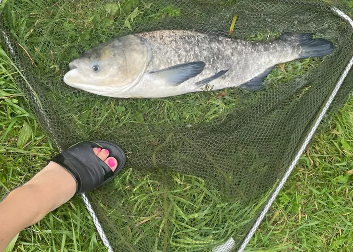 Nad Stawami * Szemud